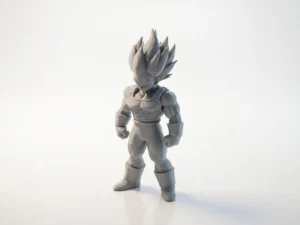 vegeta-v3_photo1
